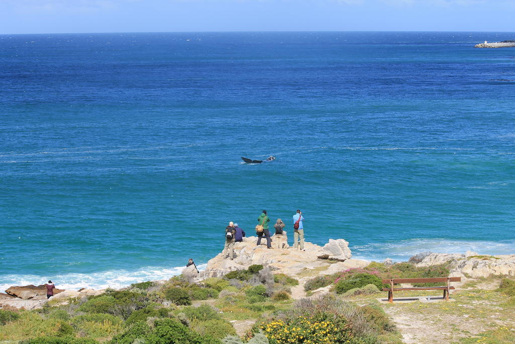 Windsor Hotel Hermanus Eksteriør bilde